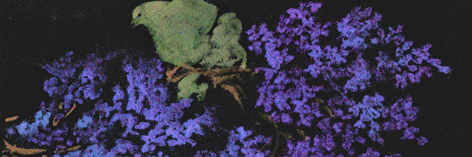 nicvader's profile banner image