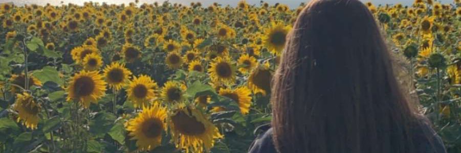 NaomiB1998's profile banner image