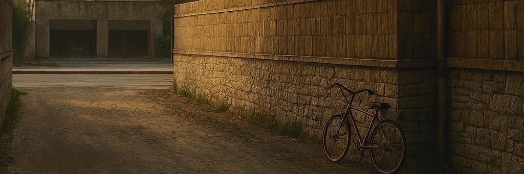 NicoZlb's profile banner image