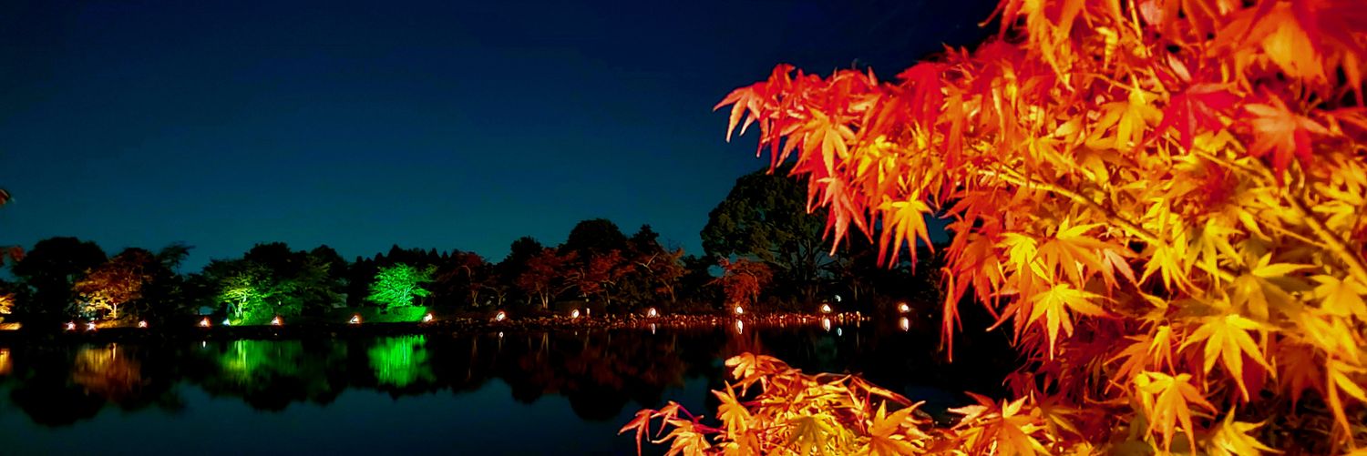 ちさき📎 banner