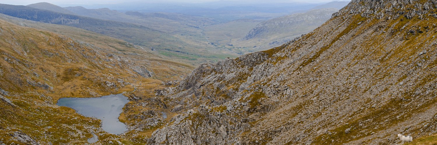 Ethan Silvester banner