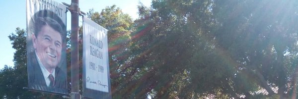 ReimerElster Profile Banner