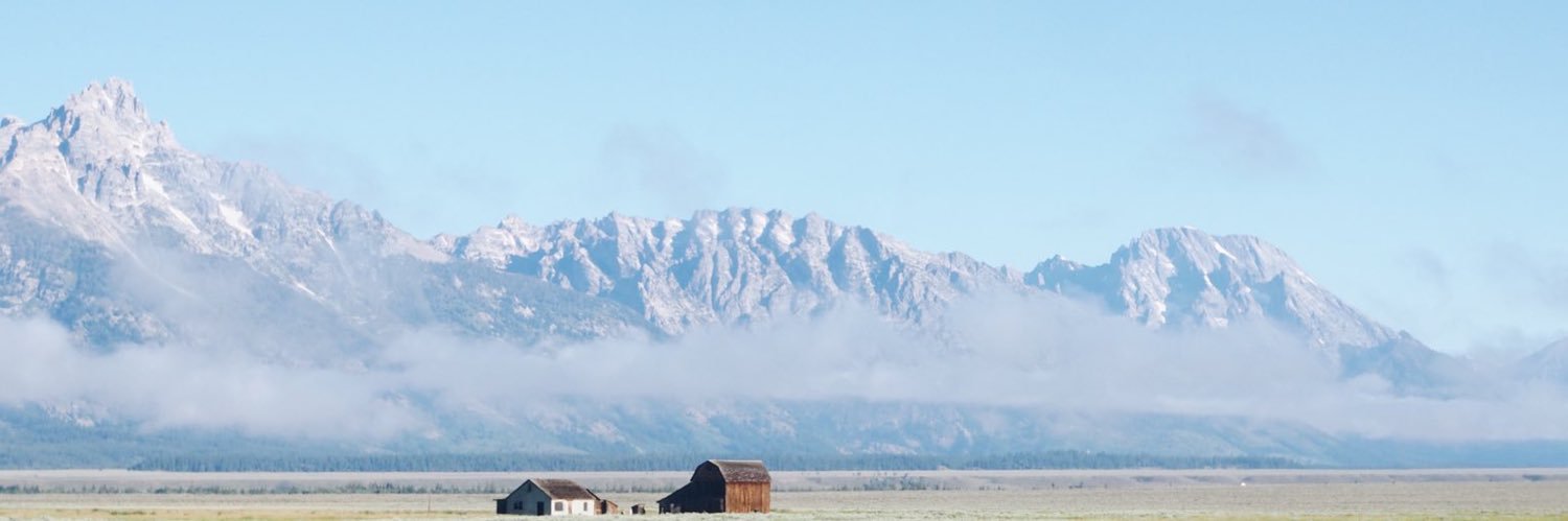 kiko banner