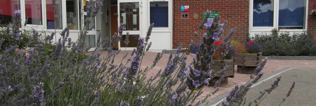 Ferrars Junior banner