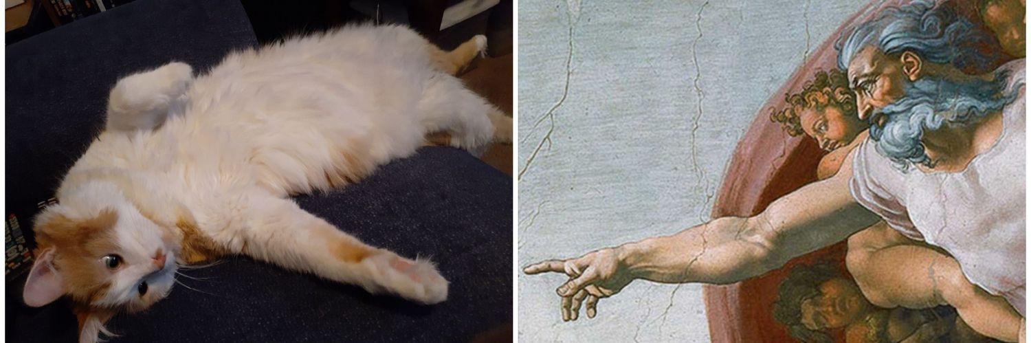 Dread the Light 🐱 banner