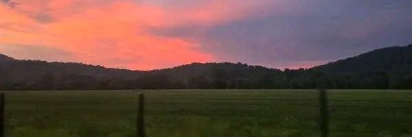 NattyB_92's profile banner image