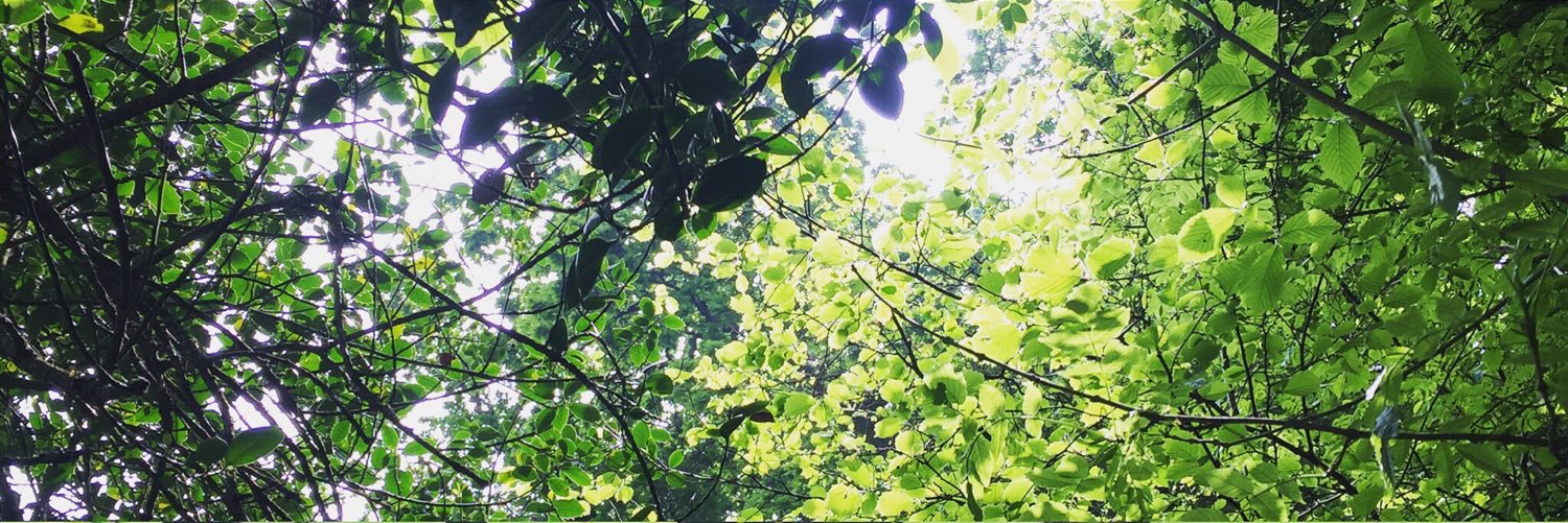 Bethanyjonesss's profile banner image