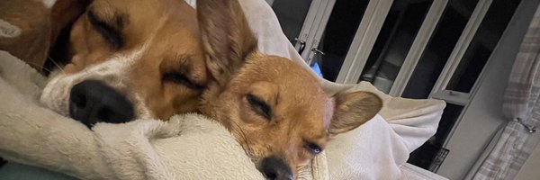 chloepbaileyxo Profile Banner