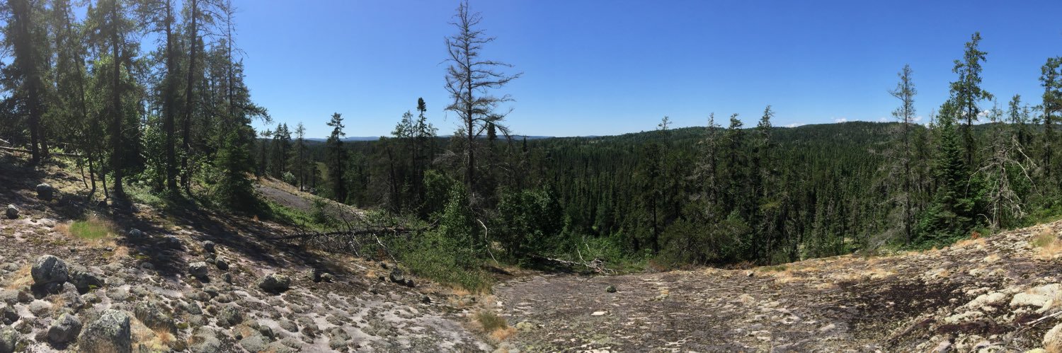 The Baron of Urga banner