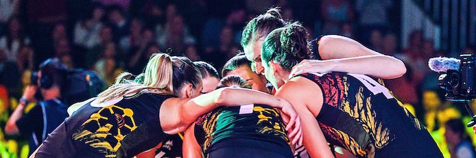 britt herbots banner