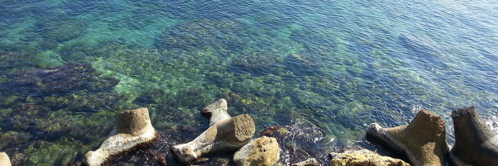 Boris Blue Eyes banner