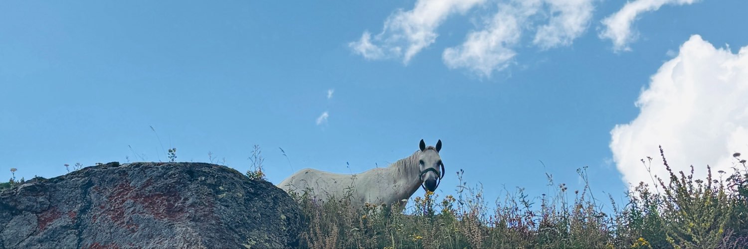 msknrka's profile banner image