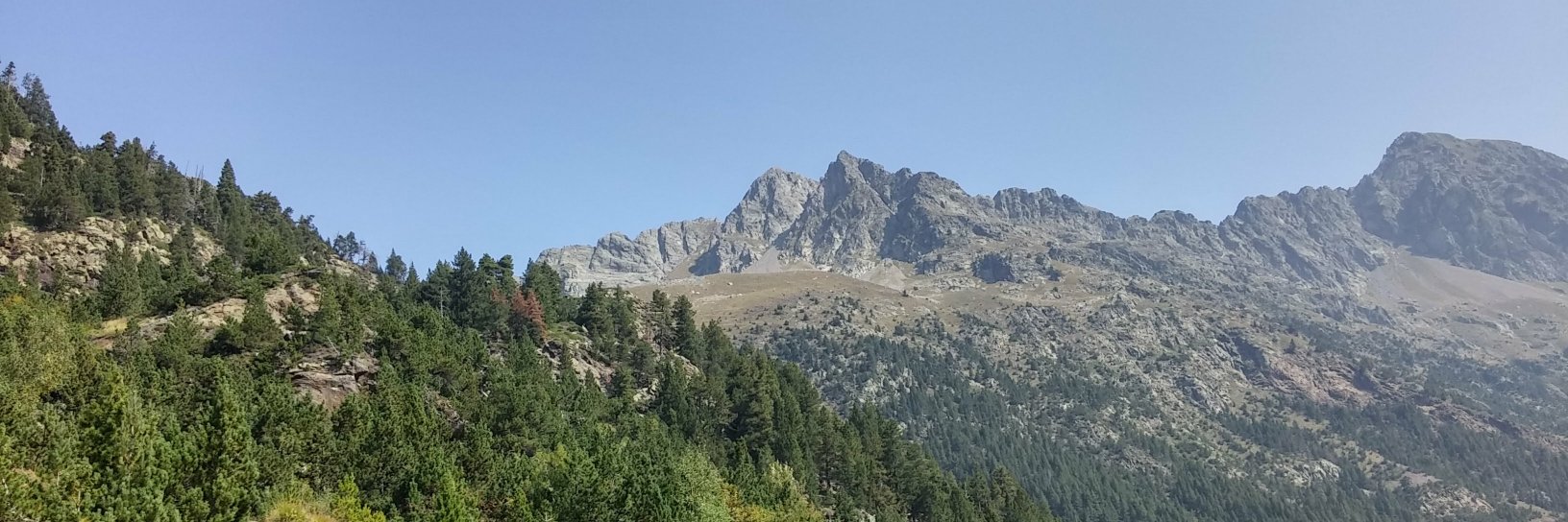 F.J. Zarazaga-Soria banner