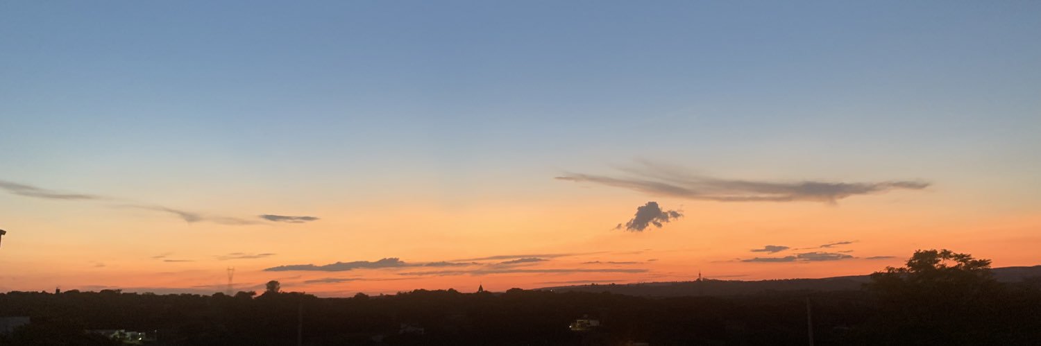 luanarigoo's profile banner image