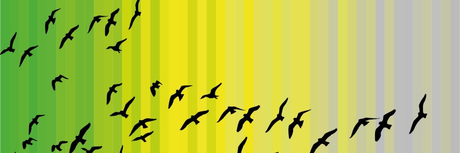 Govert Schipper banner