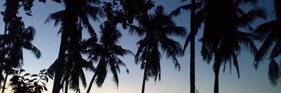 xjoiz's profile banner image