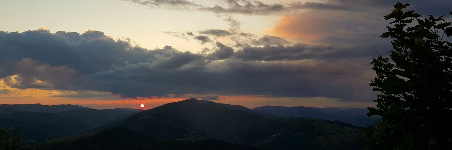 Leti_Gallardo's profile banner image