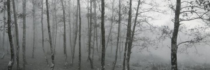 __larumbe's profile banner image