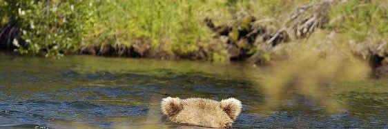 🅣🅐🅚🅚 🦋 banner