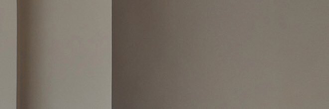 FAPRI banner