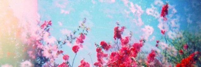 IveyWhite's profile banner image