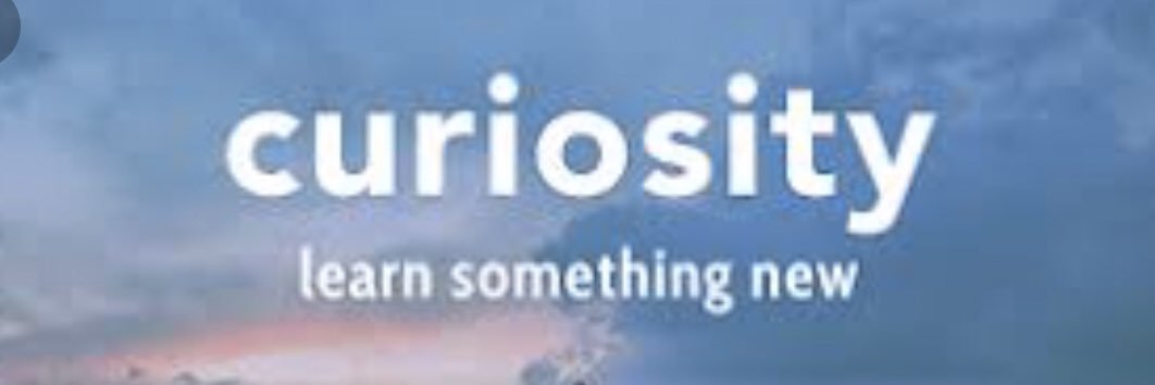 GillianBerard's profile banner image