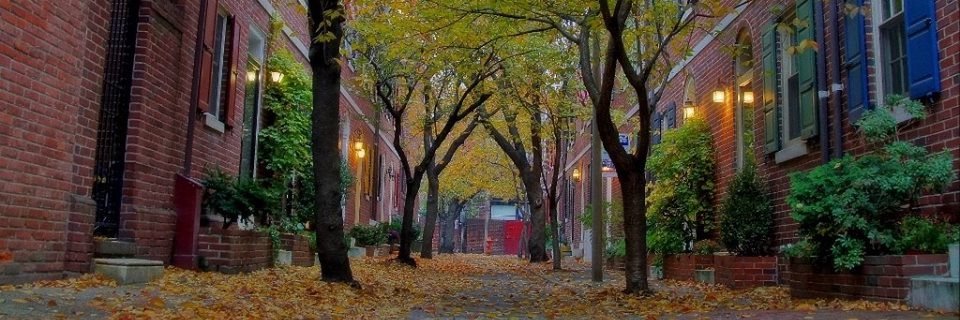 Wash West Civic banner