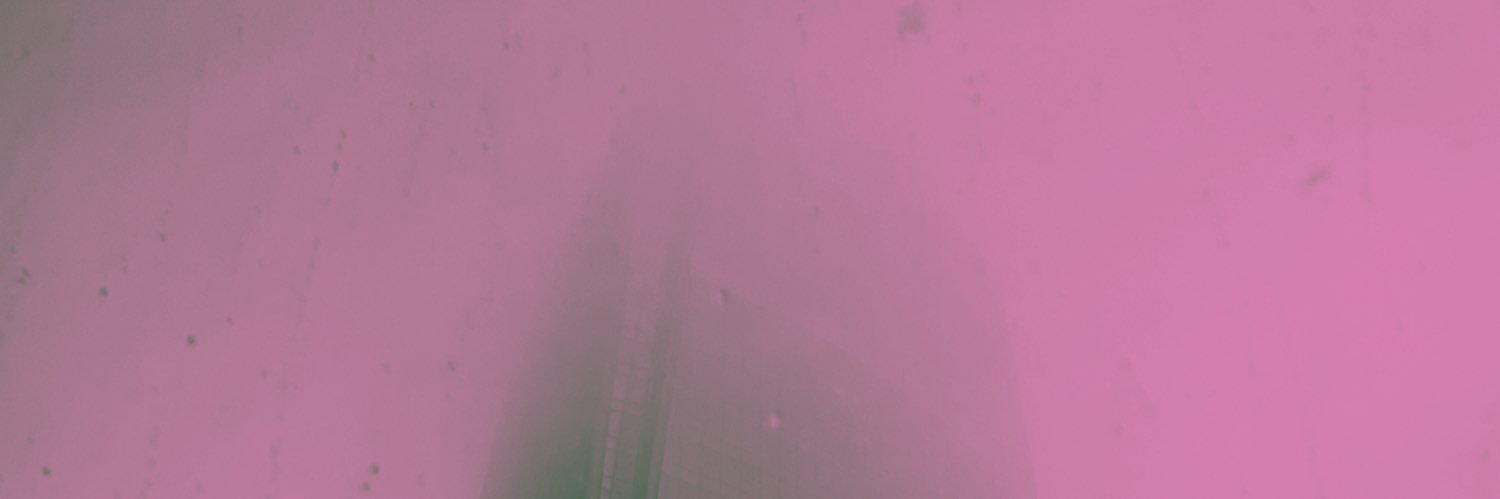 Dee banner