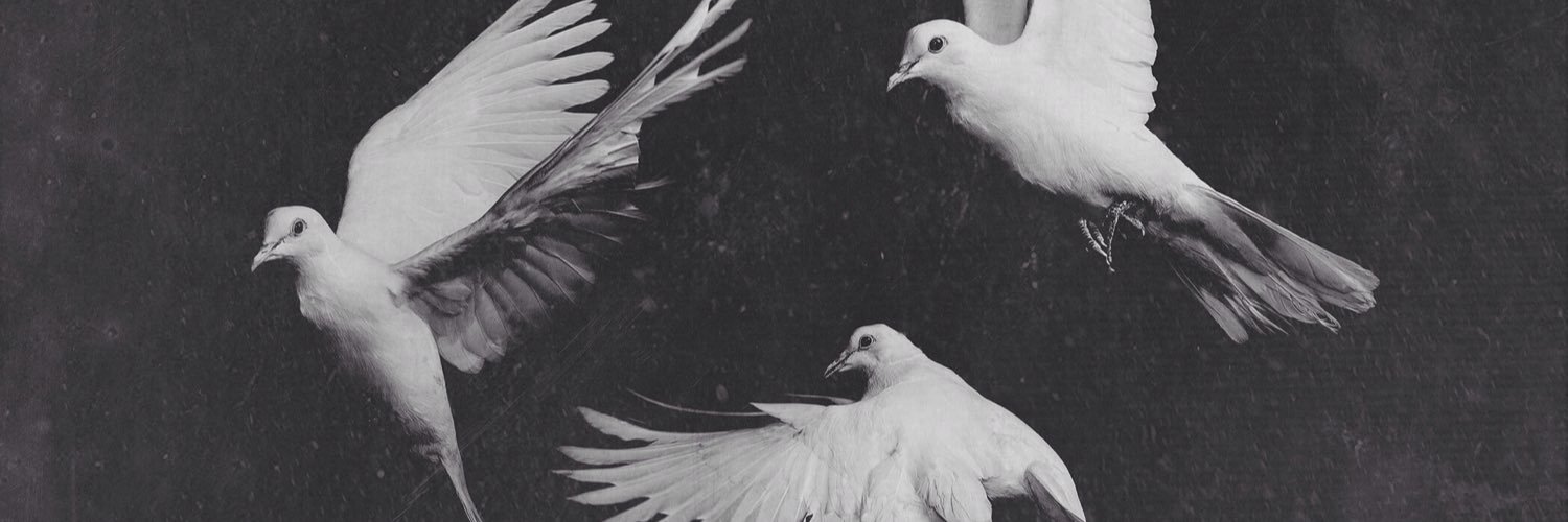 artur__11's profile banner image