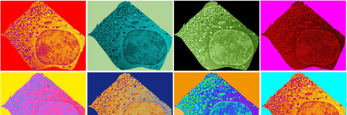 Paul Langerhans Institute Dresden - PLID banner