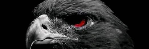 ozgur_cln's profile banner image