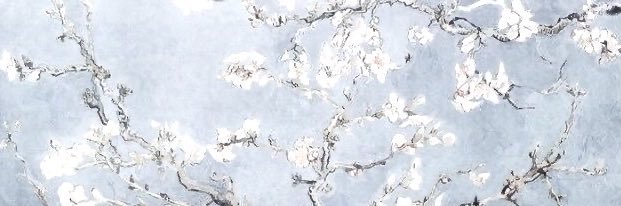 sab 🦊's banner