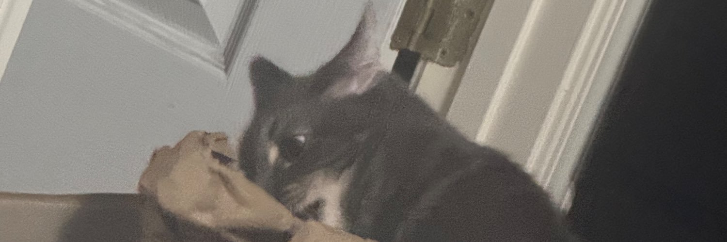 Bass_Zero's profile banner image