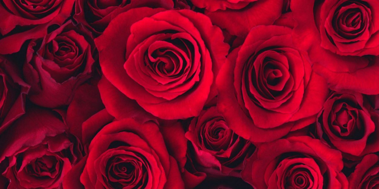 MirandaKerr_RP's profile banner image