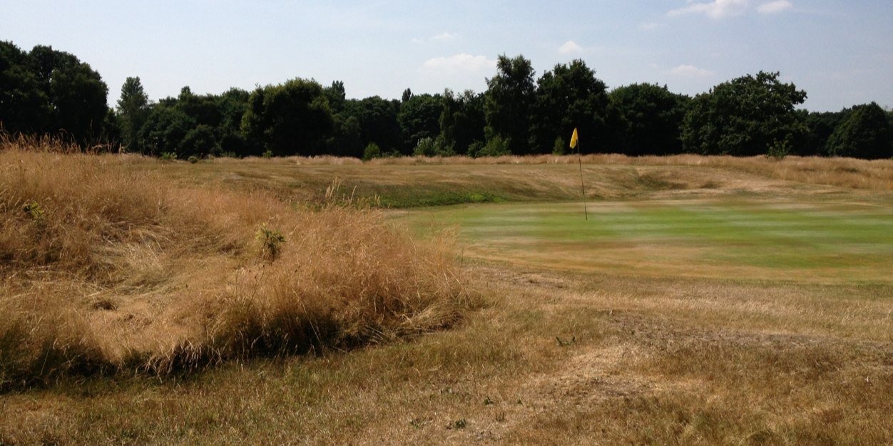 Thames Ditton Golf Club banner