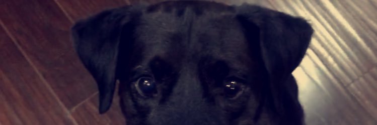 YoungLordTy's profile banner image