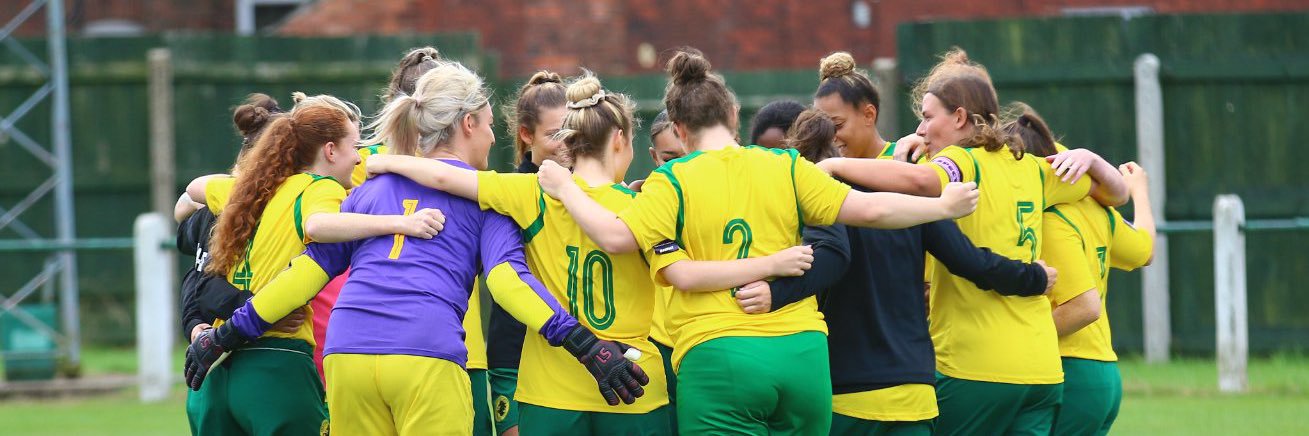 Holwell Sports Women FC banner