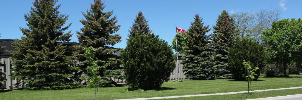 Park Manor Panthers banner