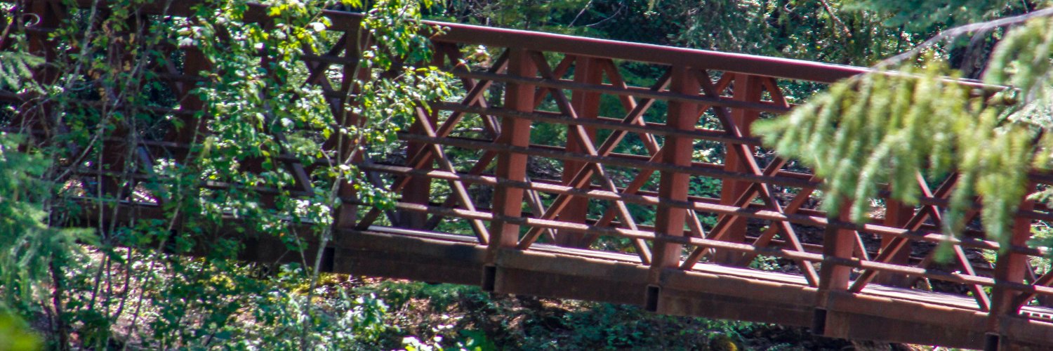 sroses13's profile banner image