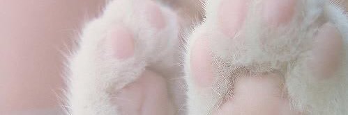be_sosoft's profile banner image