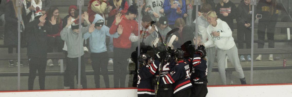 Lakeville North Bantam AA banner