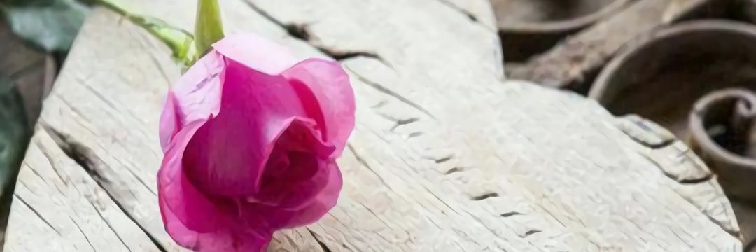 ddgvh44's profile banner image