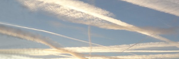 SparrowLondon1 Profile Banner