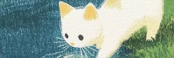 RayLis2002's profile banner image