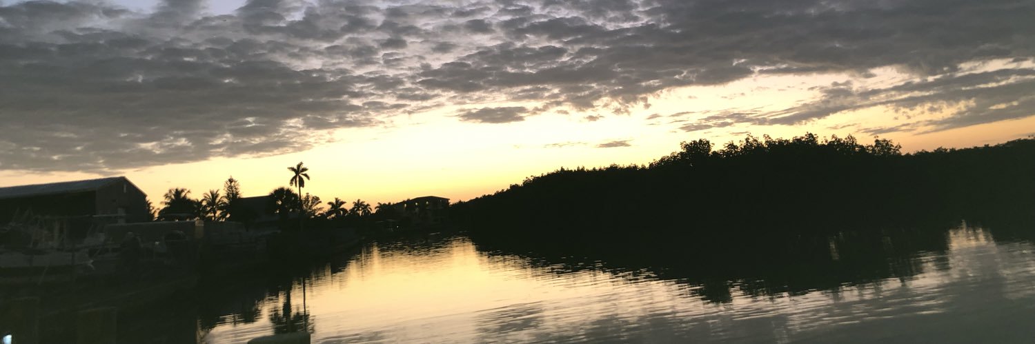 _Liberty_Ann_'s profile banner image