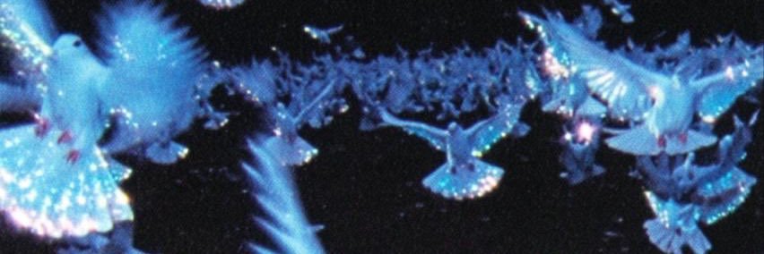 Breezo 🇵🇷 banner