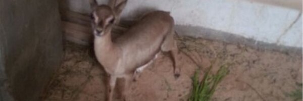 usjdj Profile Banner