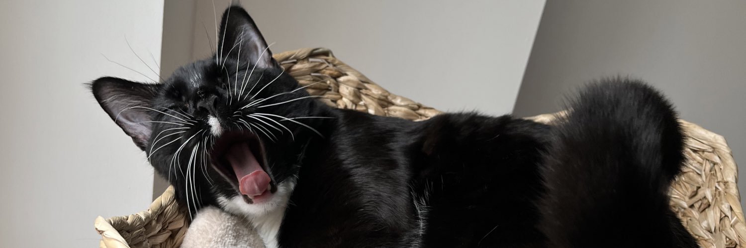 bry banner