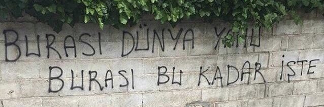 senaaturkoglu's profile banner image