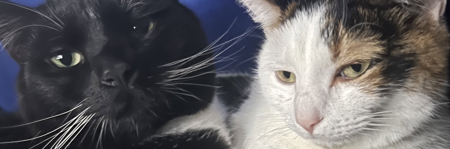 daffy_dank's profile banner image